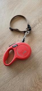 Halsband + leiband 3m, Dieren en Toebehoren, Ophalen, Gebruikt, Hondenriem