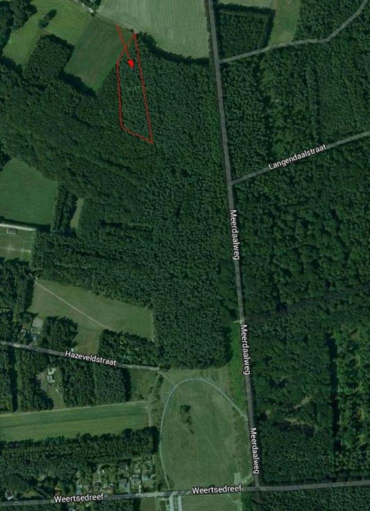 3 percelen bosgrond, Immo, Gronden en Bouwgronden, 1500 m² of meer, Verkoop zonder makelaar