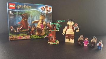 Lego Harry Potter 75967 La forêt interdite
