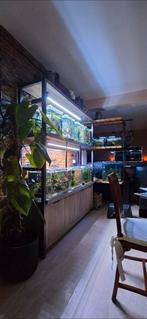 Blue dream garnalen, Maison & Meubles, Chambre à coucher | Lits superposés & Lits mezzanines, Enlèvement