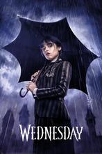 Poster Wednesday Downpour - WD1, Rechthoekig Staand, Deurposter of groter, Nieuw, Ophalen of Verzenden