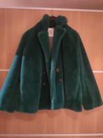 Mooie groene winterjas cks maat large, Ophalen, Zo goed als nieuw