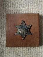 Sheriff badge Chicago, Antiquités & Art, Antiquités | Bronze & Cuivre, Enlèvement