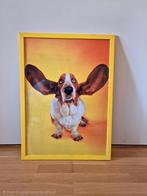 Poster foto op fotopapier hond Basset & vissen Nemo, Ophalen, Nieuw