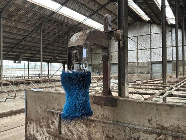 Delaval Koeborstel, Dieren en Toebehoren, Stalling en Weidegang