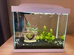 Aquarium met vissen, Ophalen, Zo goed als nieuw