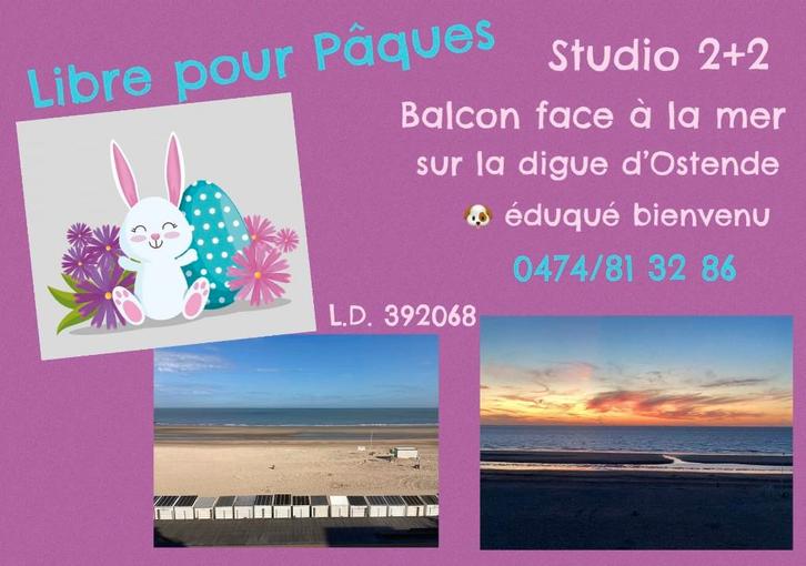 studio sur la digue, confortable, lumineux, bien équipé, Vacances, Vacances | Offres & Last minute, Propriétaire