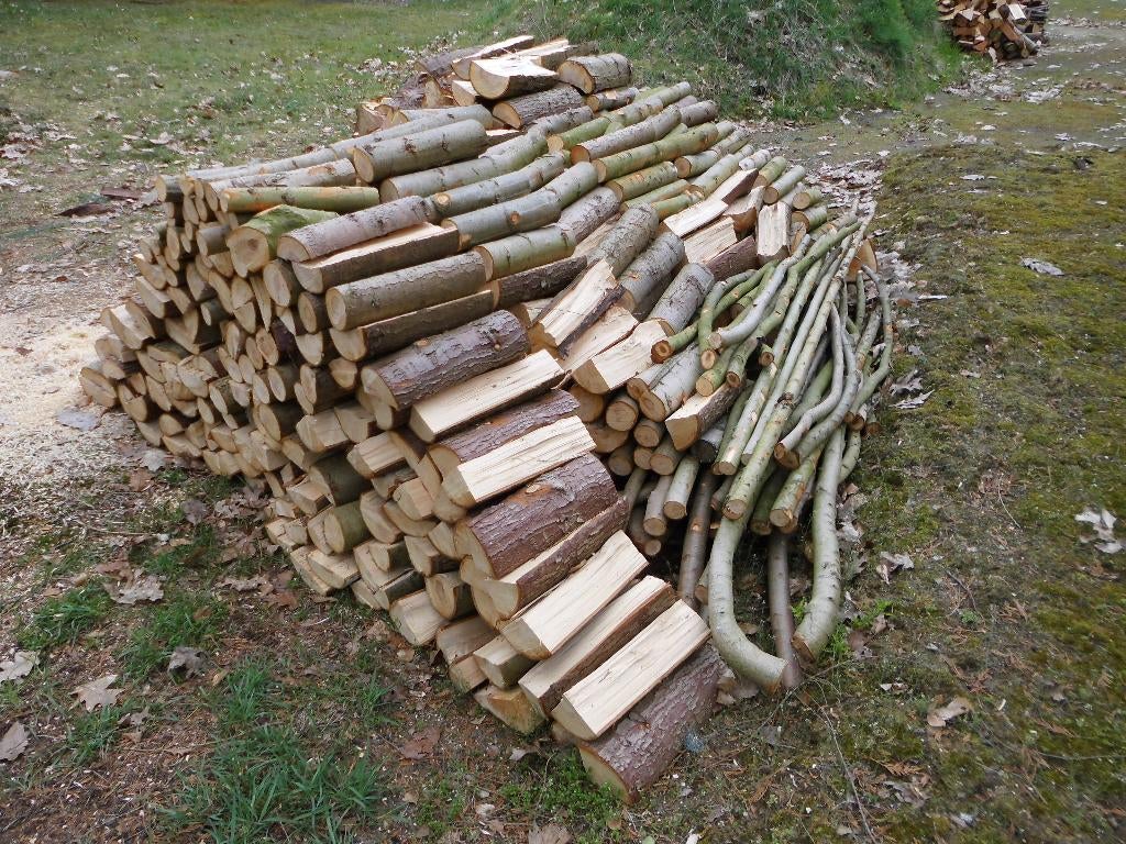 Brandhout afkomstig van Conifeerbomen, Ophalen