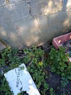 Lunette arrière Opel Record D Sedan, Enlèvement, Opel