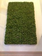 Akoestische moswand 1,6x1m  – natuurlijke blikvanger, Ophalen, Gebruikt