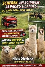 SCHEREN VAN SCHAPEN, ALPACA’S & LAMA’S