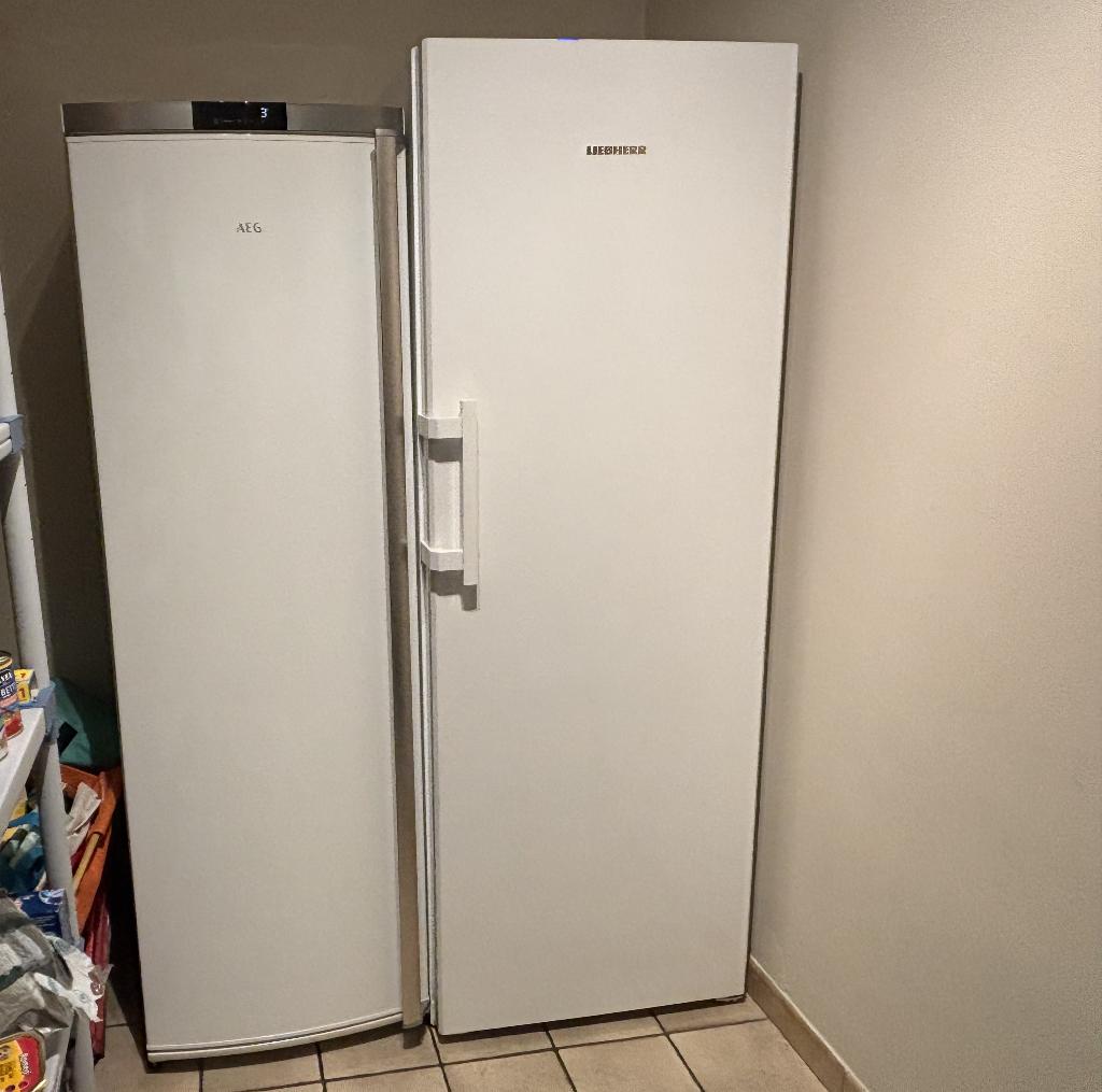 diepvriezer met 8 lades, Elektronische apparatuur, Vriezers en Diepvrieskisten, Zo goed als nieuw, Vrijstaand, Vrieskast, 160 cm of meer