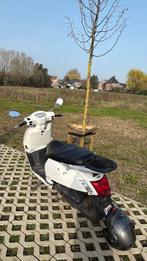 Kymco like 50, Fietsen en Brommers, Snorfietsen en Snorscooters, Ophalen of Verzenden, Zo goed als nieuw, Kymco