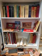 Boeken en curiosa , alles ivm stad Lier, Boeken, Ophalen of Verzenden, Gelezen