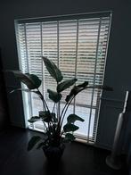 Jaloezie wit - Maatwerk - 3 stuks, Huis en Inrichting, Stoffering | Gordijnen en Lamellen, Ophalen, 200 cm of meer, Wit, 150 tot 200 cm