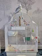 Cage pour oiseaux, Animaux & Accessoires, Enlèvement, Comme neuf, Métal, Cage à oiseaux