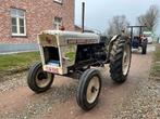 1970 David Brown. Tracteur Selectamatic 990 Oldtimer, Oldtimer/Ancêtre, Autres marques