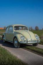 VW coccinelle 1200 Beryl green restaurée + garantie, Autos, Achat, Entreprise, Garantie prolongée, Boîte manuelle