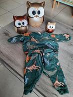 Setje met dinoprint Hema maat 62, Kinderen en Baby's, Babykleding | Maat 62, Ophalen of Verzenden, Setje