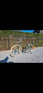 Mooie groene stadsfiets, Enlèvement