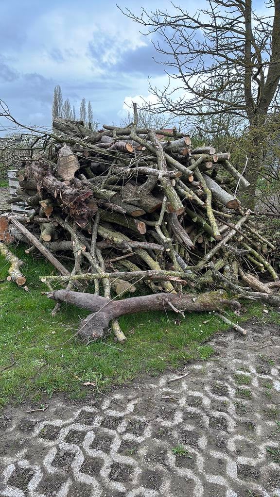 Grote hoeveelheid brandhout, Enlèvement