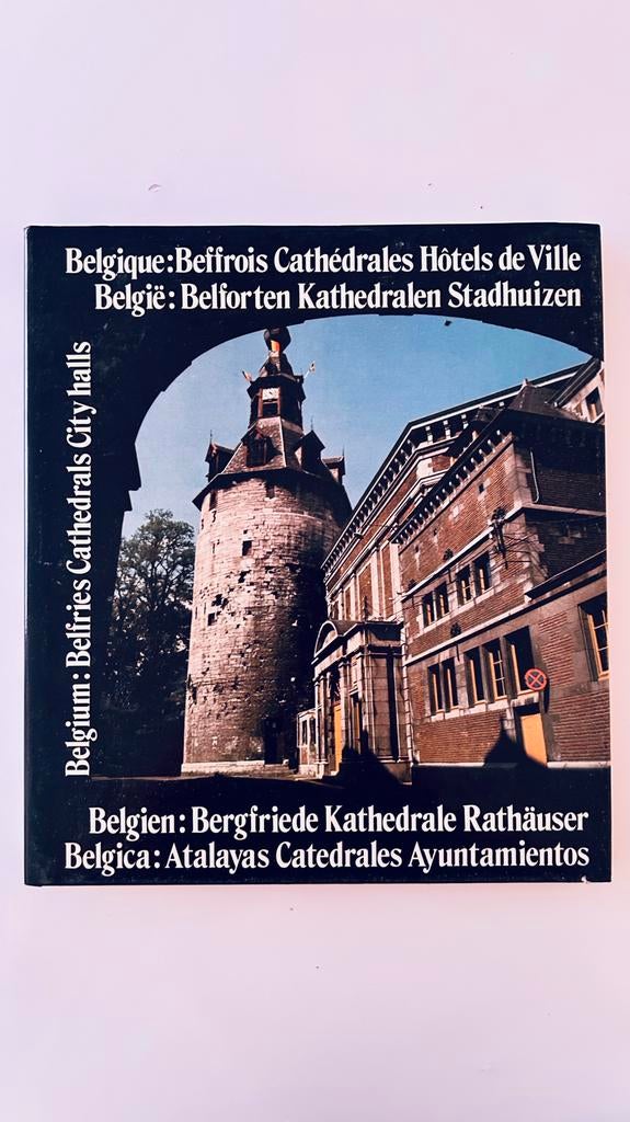 België: Belforten, Kathedralen, Stadhuizen, Boeken, Kunst en Cultuur | Architectuur, Ophalen