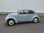 Volkswagen Beetle '53 - Twitter, Autos, Achat, Beige, Entreprise, 2 places