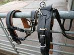 Enkelspan ideal full, Animaux & Accessoires, Chevaux & Poneys | Brides & Harnachement, Enlèvement ou Envoi