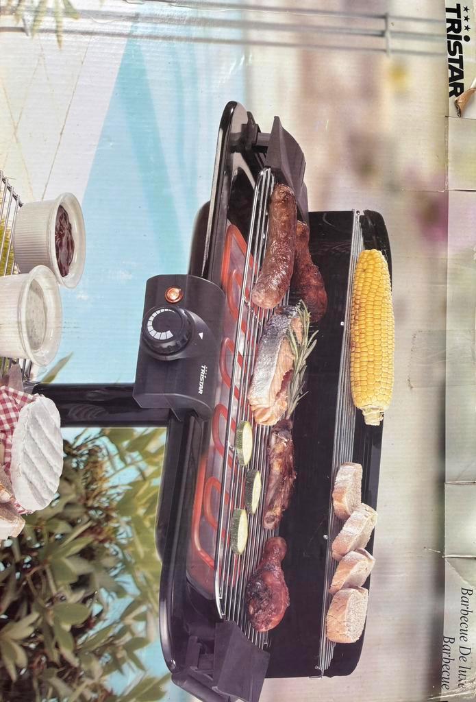 Barbecue électrique de luxe, Jardin & Terrasse, Barbecues électriques, Neuf, Enlèvement