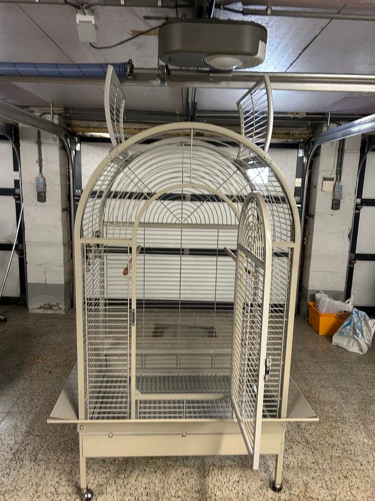 Cage perroquet, Enlèvement, Utilisé, Métal, Cage à oiseaux