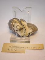 Mineraal Edelsteen- Slangenhuid Calcedonium (36), Ophalen