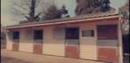 Paardenstallen te huur, Dieren en Toebehoren, Stalling en Weidegang, Weidegang, 4 paarden of pony's of meer