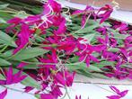 imitatiebloemen te koop 252 takken, Ophalen, Nieuw, Binnen