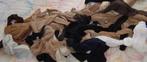 Nieuwe Collectie pantys maat S/M, Kleding | Dames, Leggings, Maillots en Panty's, Ophalen of Verzenden, Maat 36/38 (S)