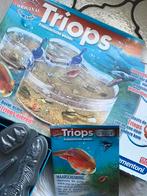 Triops et la Terre des Dinosaures de Clementoni