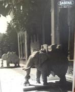 Sabena muurdecoratie: City Palace, Jaipur, India, Ophalen of Verzenden, Gebruikt
