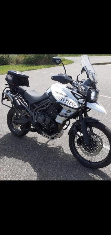 Tiger 800 XCX 2019 NL laatste model  beschikbaar voor biedingen