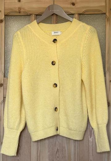 Gilet Only beschikbaar voor biedingen