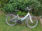 Meisjesfiets 20 inch, Fietsen en Brommers, Fietsen | Kinderfietsjes, Ophalen, Gebruikt, 20 inch of meer, Frizzle