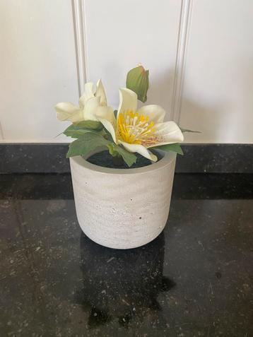 Grijze bloempot met kunstbloem beschikbaar voor biedingen