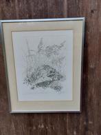 Ets/achilles cools/ een mol/ oplage22/50, Enlèvement ou Envoi