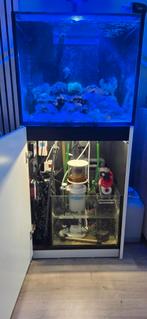 Zeequrium Red Sea 170, Ophalen