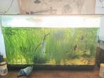 Aquarium 90cm, Ophalen