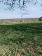 Herbage et foin à vendre sur pature de 1200 m2, Dieren en Toebehoren, Stalling en Weidegang