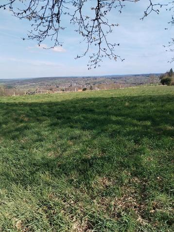 Herbage et foin à vendre sur pature de 1200 m2