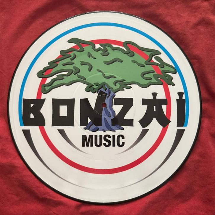 Cherrymoon Trax – The House Of House, Cd's en Dvd's, Vinyl | Dance en House, Zo goed als nieuw, Dance Populair, 12 inch, Verzenden