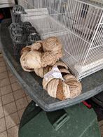 Nest v vogels 55st, Dieren en Toebehoren, Pluimvee