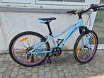 Vtt liv( giant) pour fille  7 à 11ans, Ophalen, Gebruikt, 24 inch