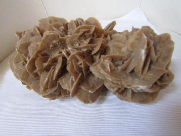 Uitzonderlijke gefossiliseerde „Sand Rose” van 2,6 kg beschikbaar voor biedingen