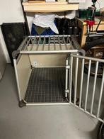 cage de transport de chiens, Ophalen, Zo goed als nieuw